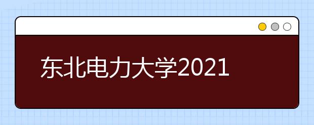 东北电力大学2021年艺术类专业招生简章