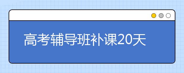 高考辅导班补课20天需要多少钱？