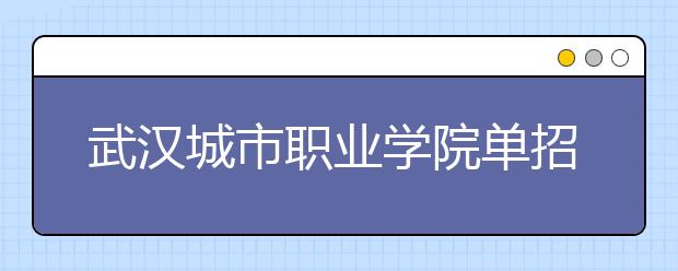 武汉城市职业学院单招2020年单独招生报名时间、网址入口