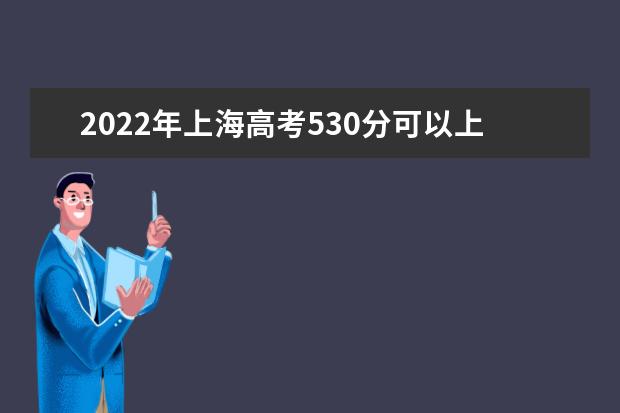 2022年上海高考530分可以上什么大学？