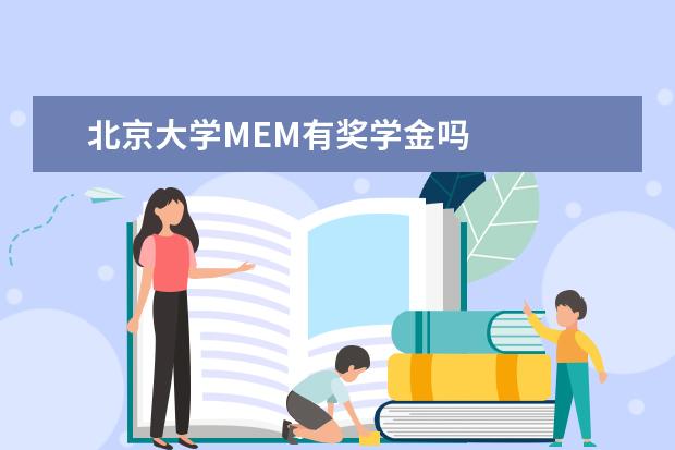 北京大学MEM有奖学金吗