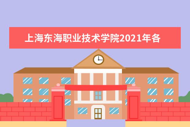 上海东海职业技术学院2021年各省市录取分数线 2021年上海录取分数线