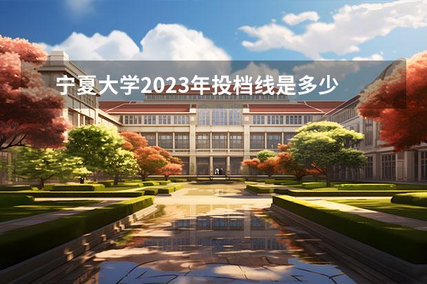 宁夏大学2023年投档线是多少