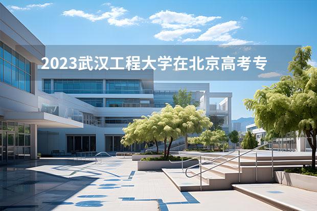 2023武汉工程大学在北京高考专业招生计划人数一览