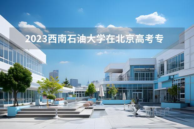 2023西南石油大学在北京高考专业招生计划人数一览