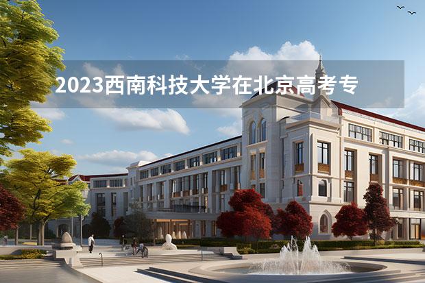 2023西南科技大学在北京高考专业招生计划人数一览